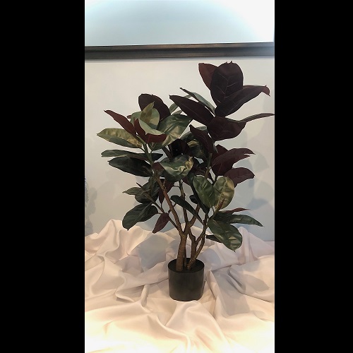 3' Potted Rubber Plant - Themed Rentals - 3 foot artificial rubber tree shrub for rent